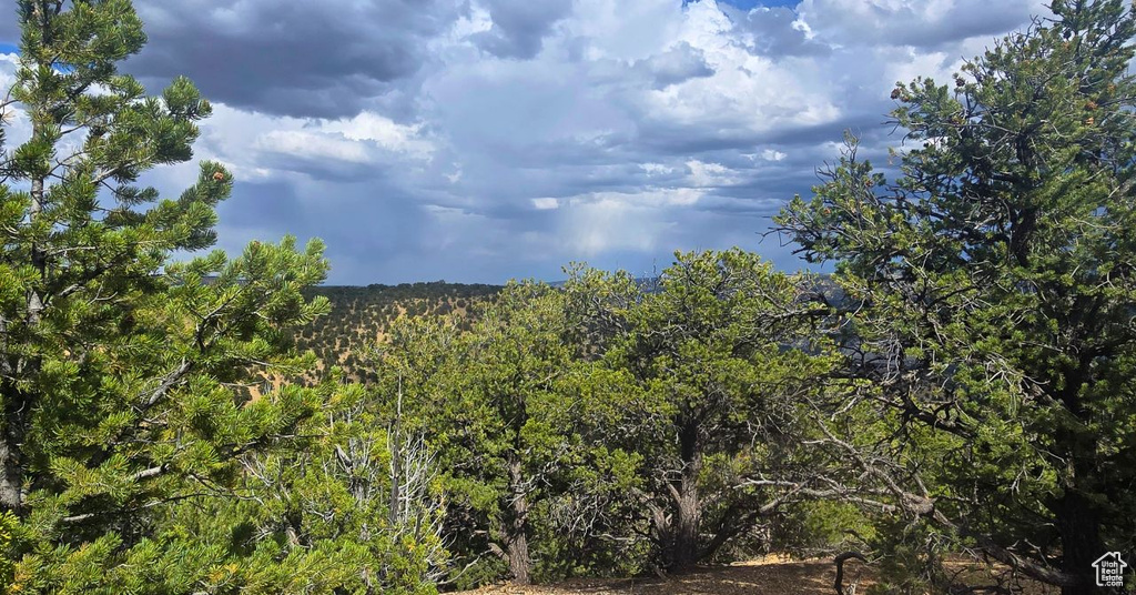  Duchesne, UT 84021