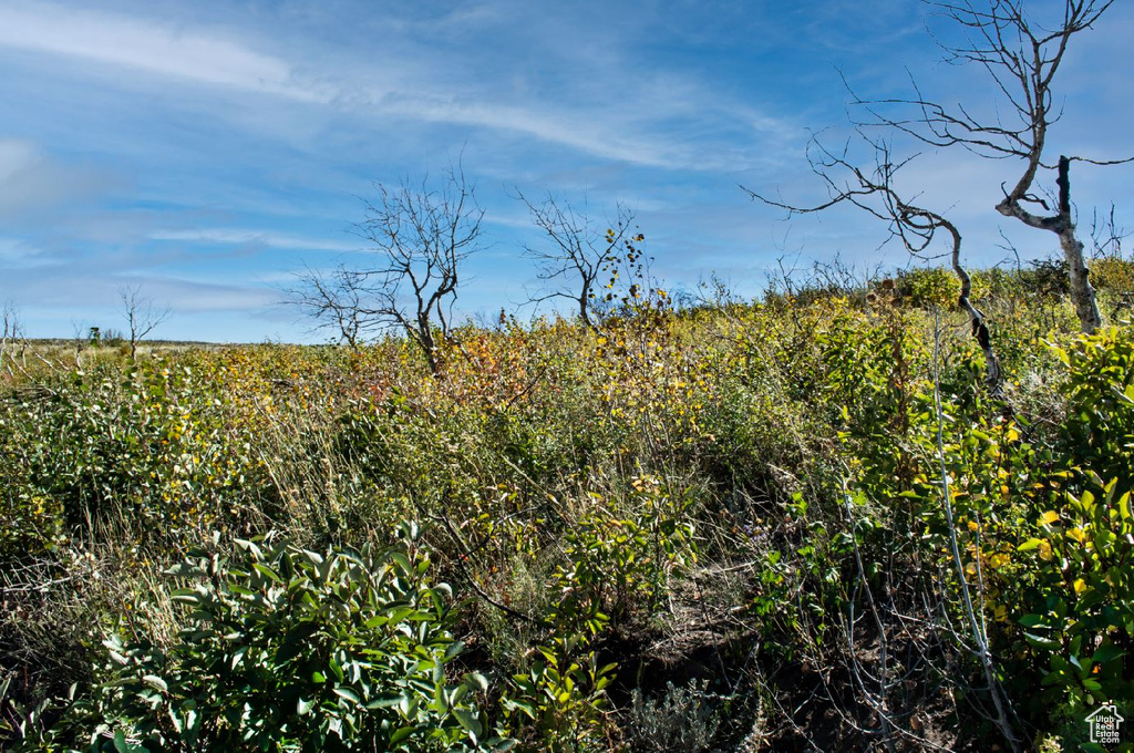  Fruitland, UT 84027