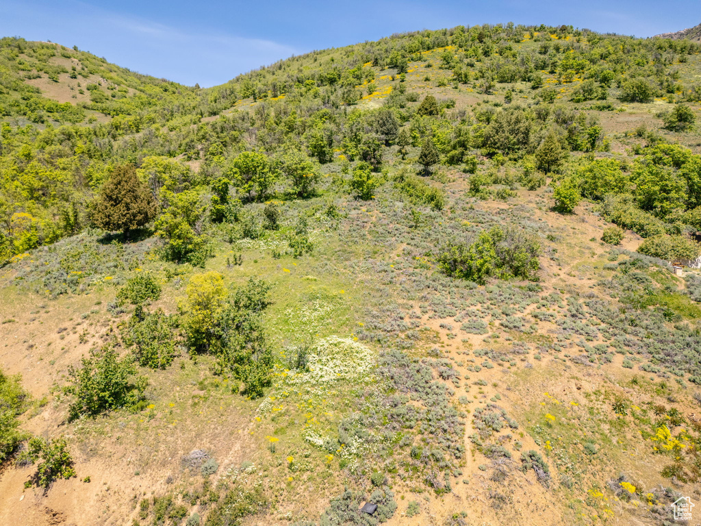 9658 E KELLEY DR Huntsville, UT 84317