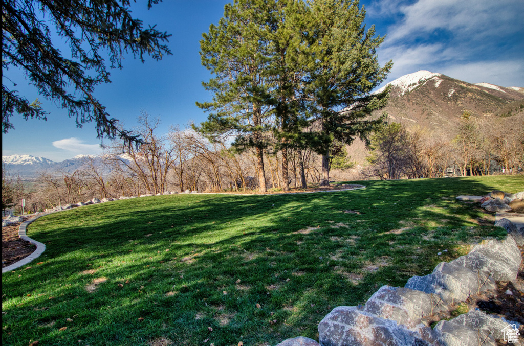 740 S WOODLAND DR Woodland Hills, UT 84653