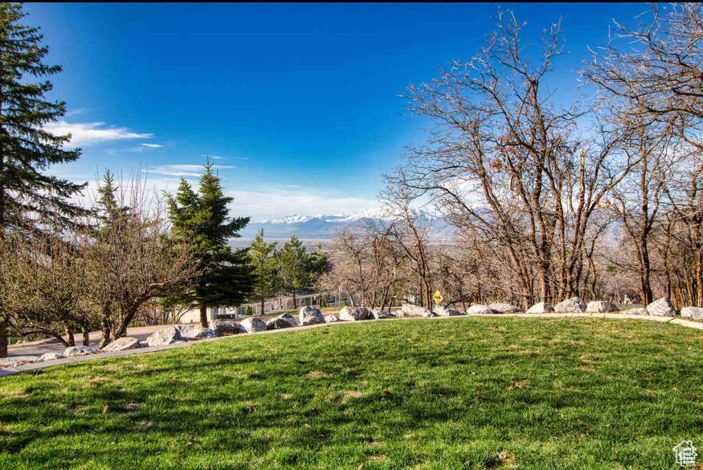 740 S WOODLAND DR Woodland Hills, UT 84653