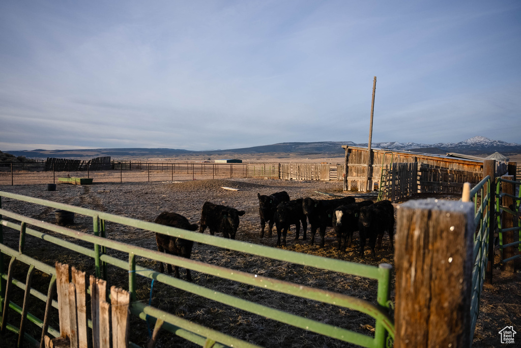 3168 N 1600 E Panguitch, UT 84759