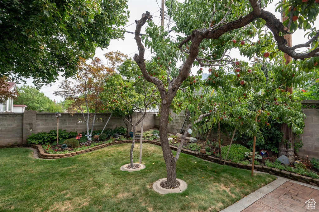 2995 E 7110 S Cottonwood Heights, UT 84121