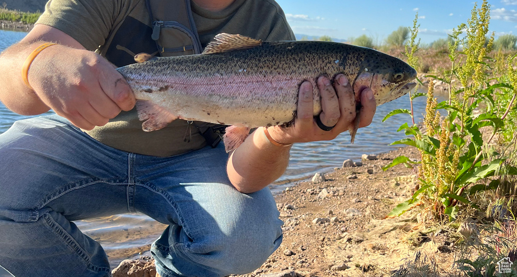  Monroe, UT 84754