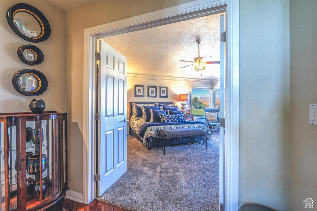 Photo 27 for MLS #2105721 at 2244 Putters Cir