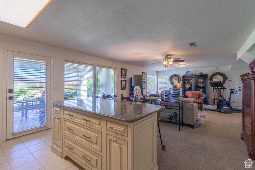 Photo 51 for MLS #2105721 at 2244 Putters Cir
