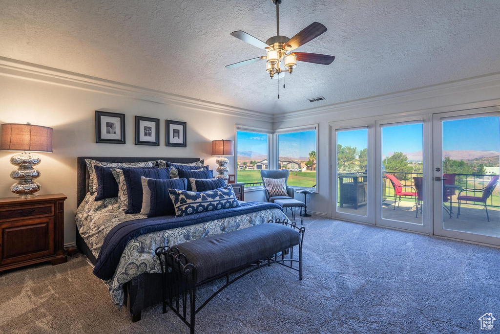 Photo 28 for MLS #2105721 at 2244 Putters Cir