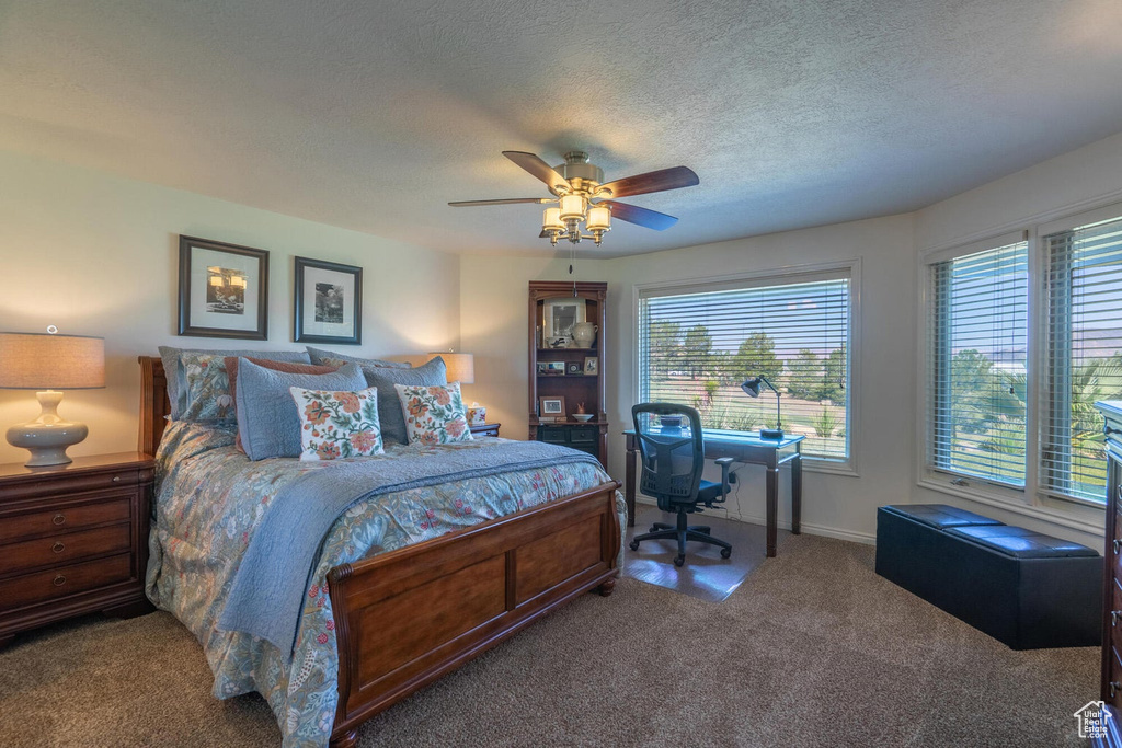 Photo 62 for MLS #2105721 at 2244 Putters Cir
