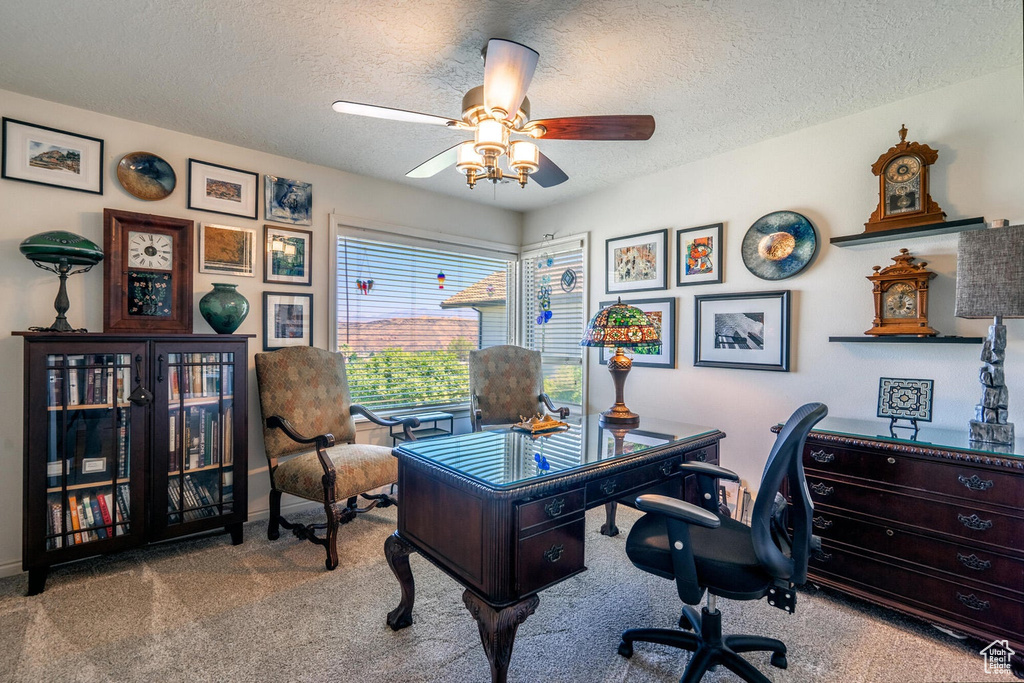 Photo 37 for MLS #2105721 at 2244 Putters Cir