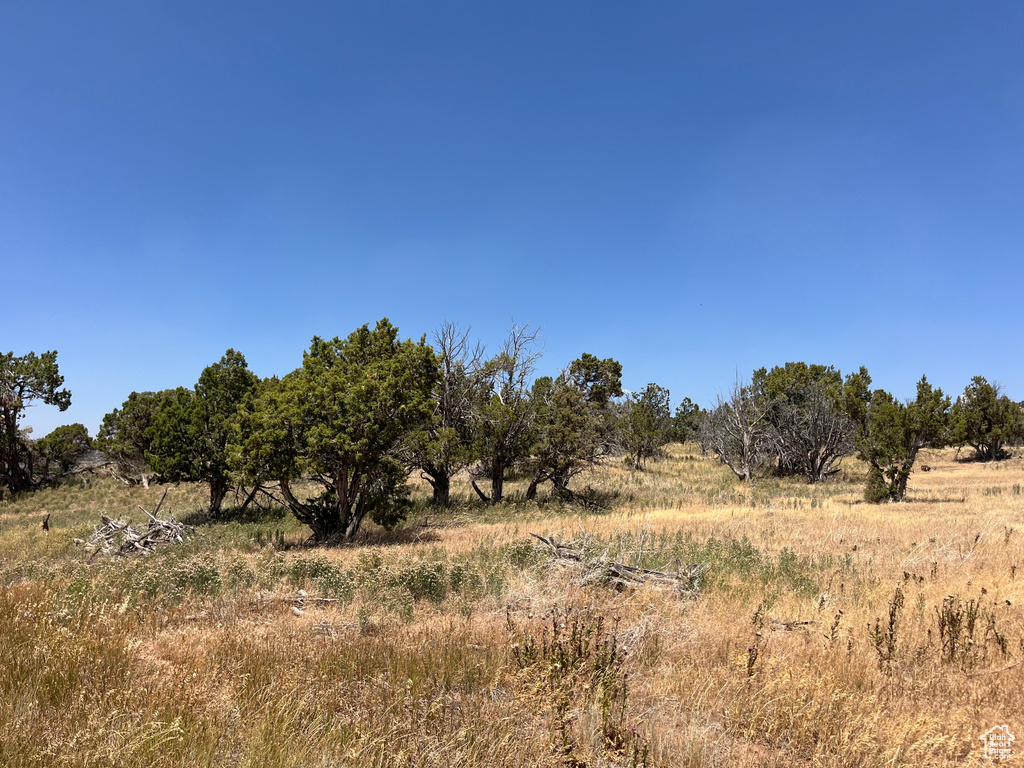 COLEMAN Fruitland, UT 84027