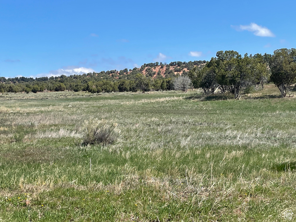 COLEMAN Fruitland, UT 84027