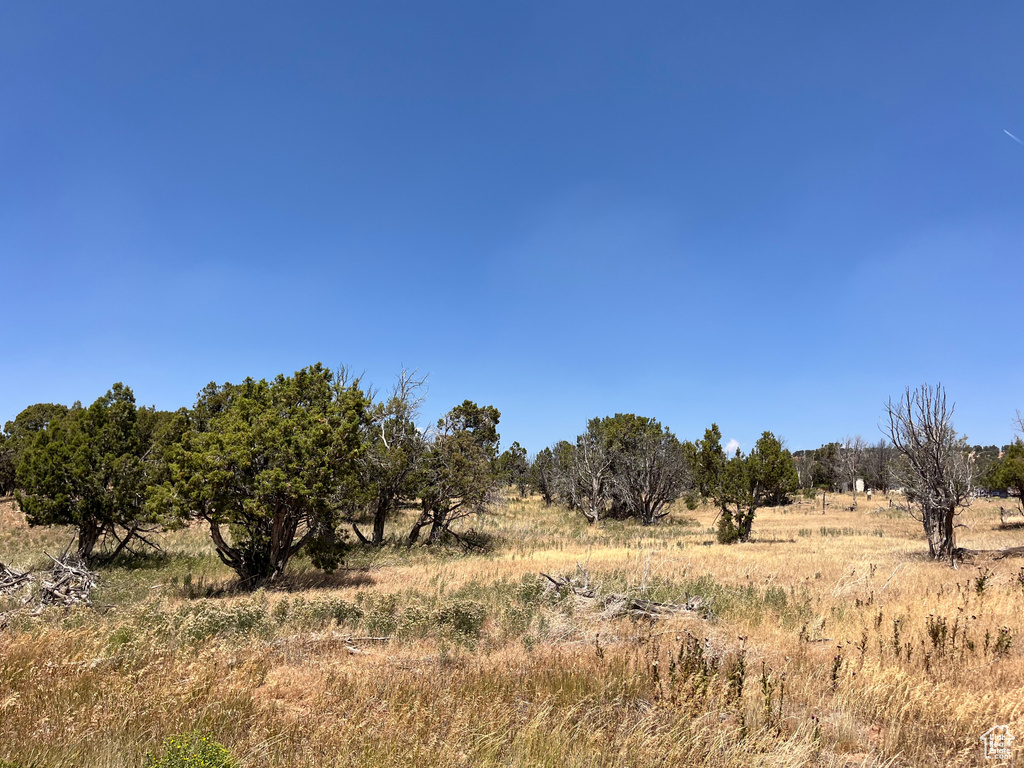 COLEMAN Fruitland, UT 84027