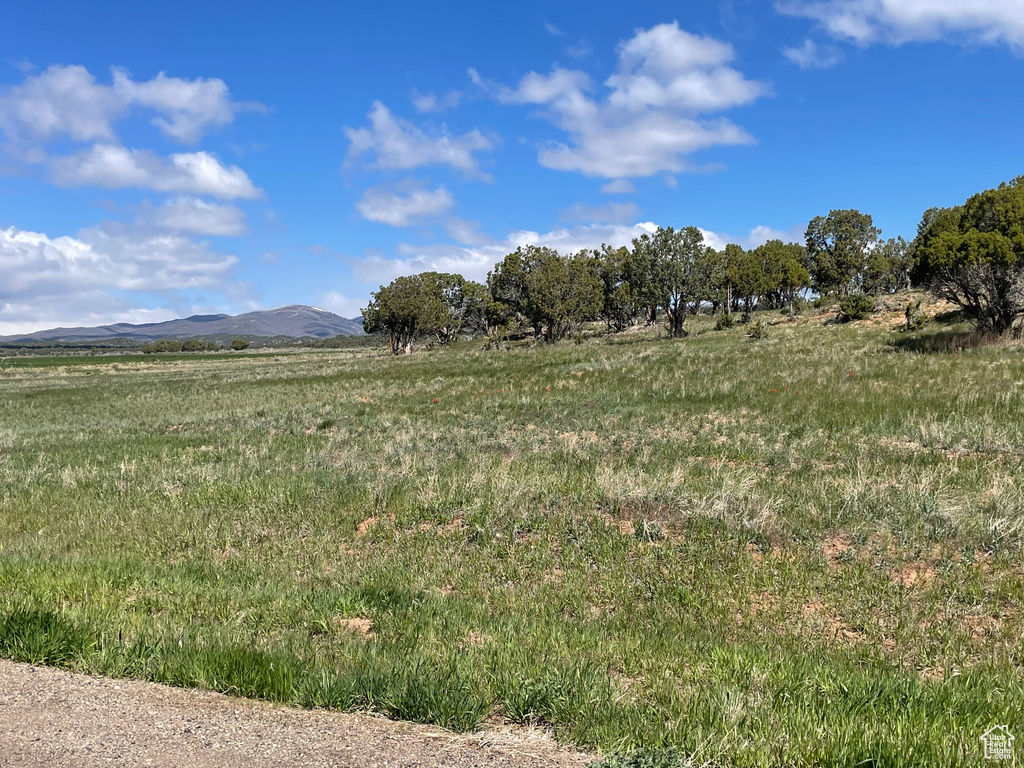 COLEMAN Fruitland, UT 84027