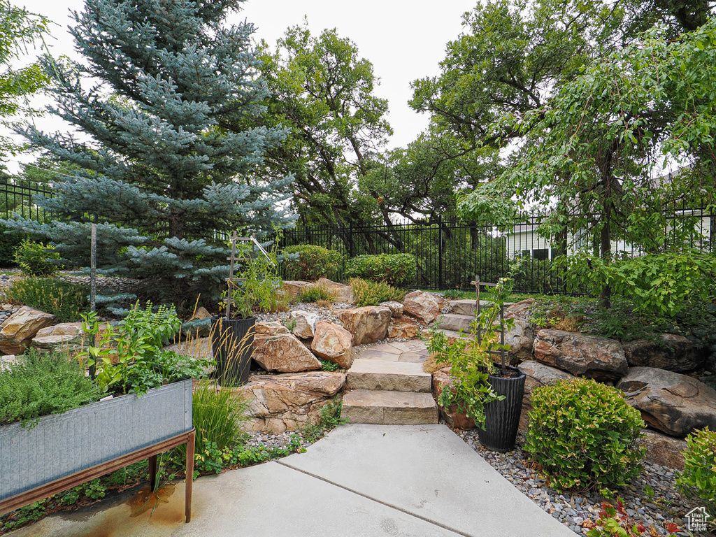 2419 E ROYAL PINE CV Cottonwood Heights, UT 84093