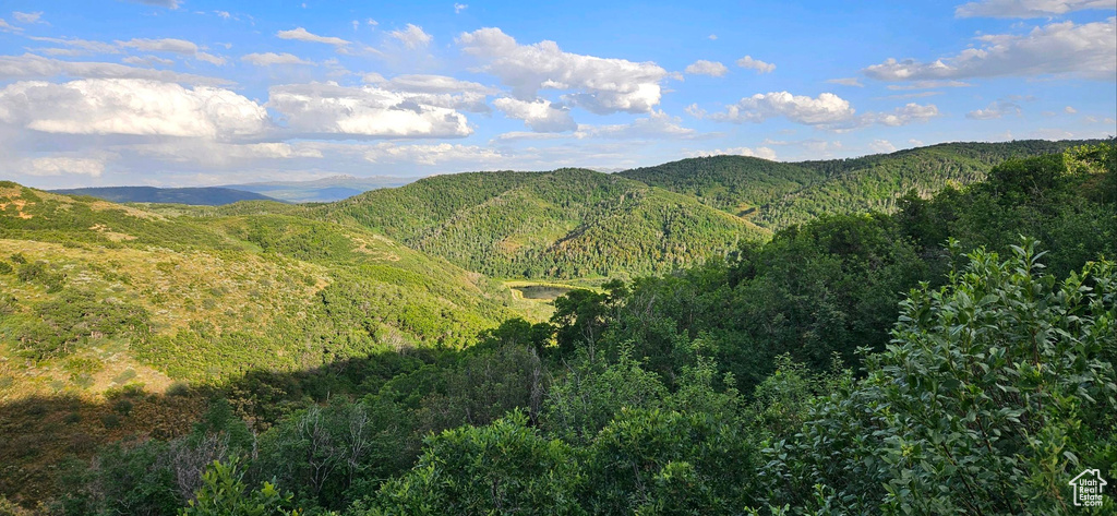 12602  SKYLINE RD Echo, UT 84024