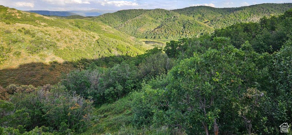 12602  SKYLINE RD Echo, UT 84024