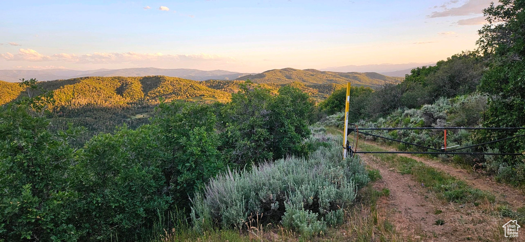 12602  SKYLINE RD Echo, UT 84024