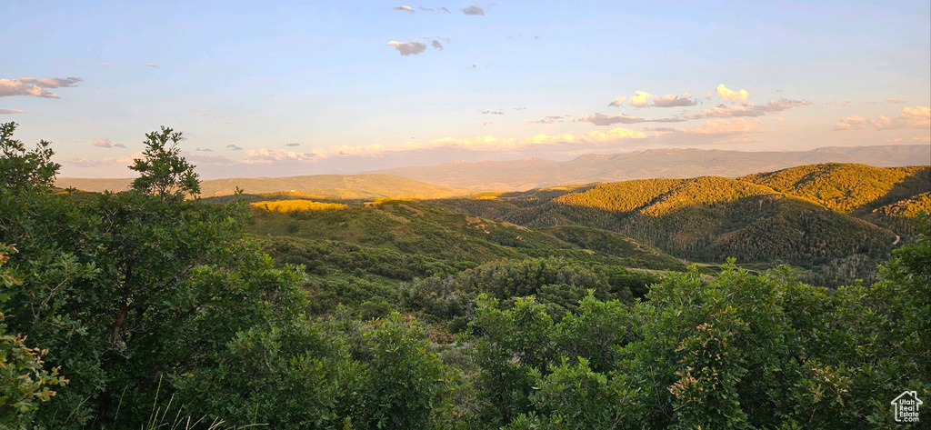 12602  SKYLINE RD Echo, UT 84024
