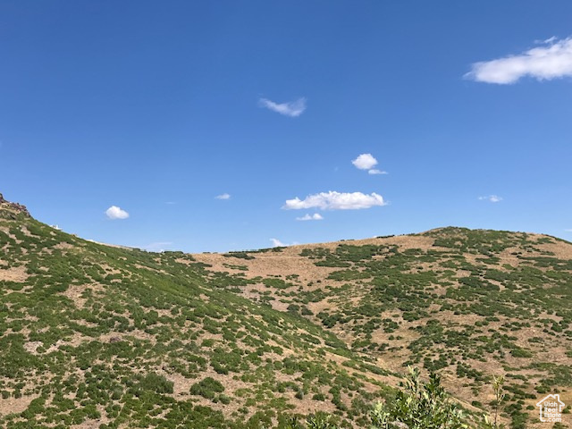 15  KENT CYN Wanship, UT 84017