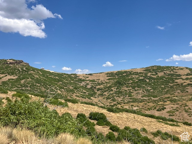 15  KENT CYN Wanship, UT 84017