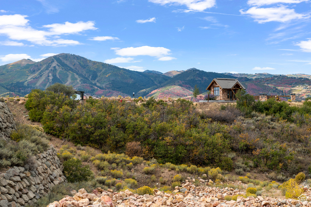 10677 N REFLECTION RDG Hideout, UT 84036