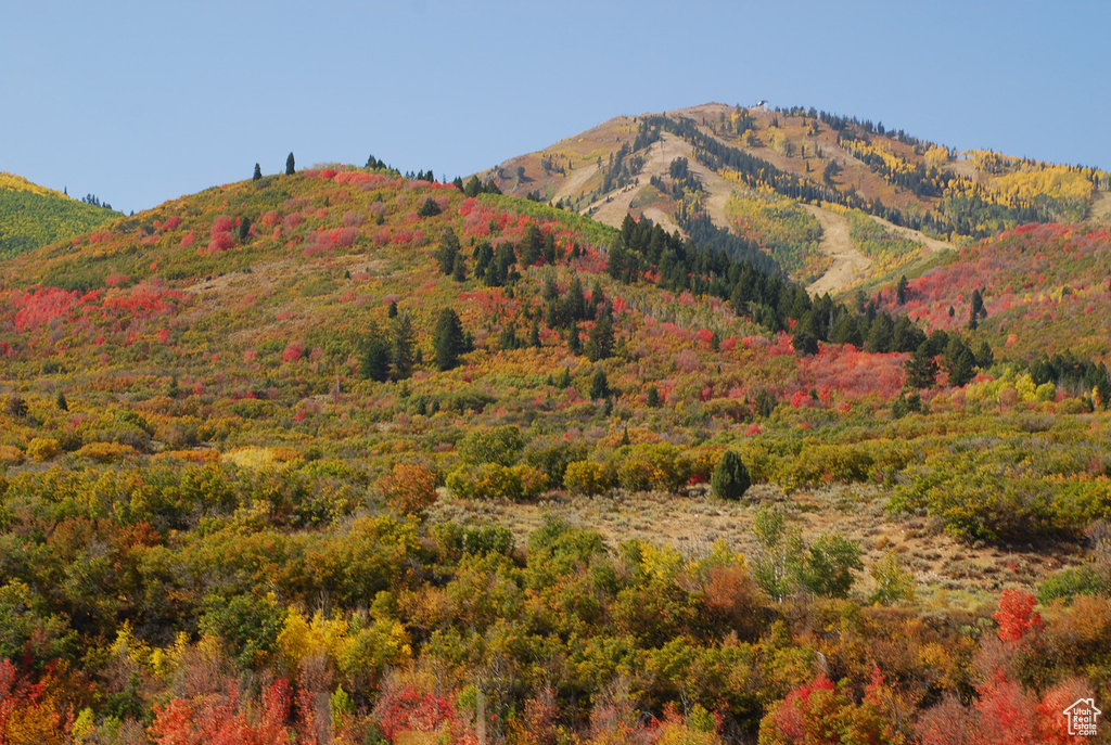 10677 N REFLECTION RDG Hideout, UT 84036