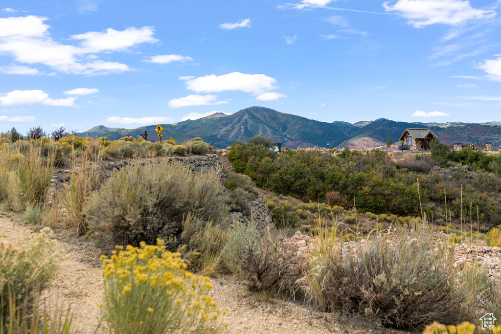 10677 N REFLECTION RDG Hideout, UT 84036