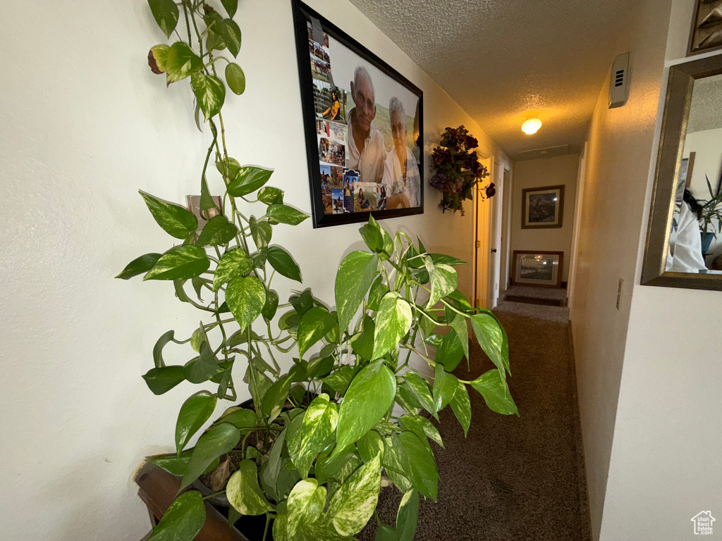 Photo 22 for MLS #2105823 at 328 S Center St