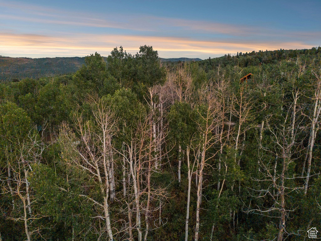 10749 E GREEN BRIAR RD Heber City, UT 84032