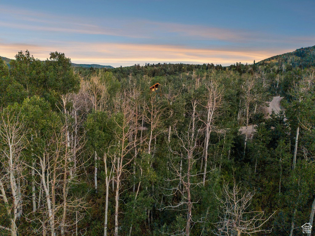 10749 E GREEN BRIAR RD Heber City, UT 84032