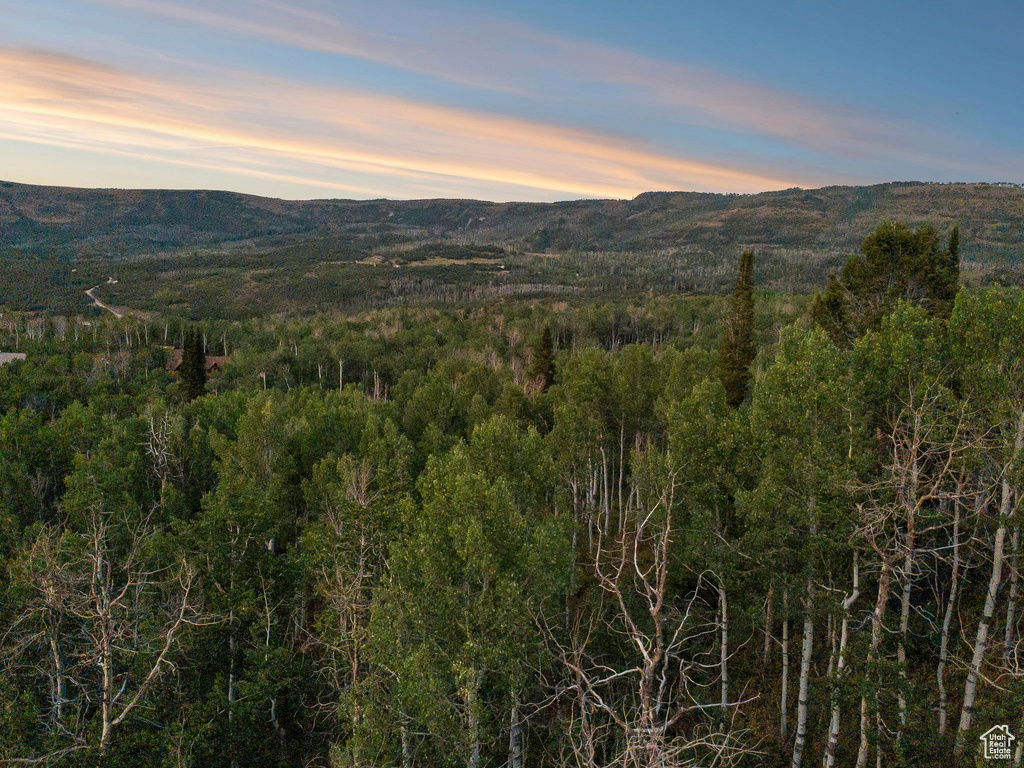 10749 E GREEN BRIAR RD Heber City, UT 84032