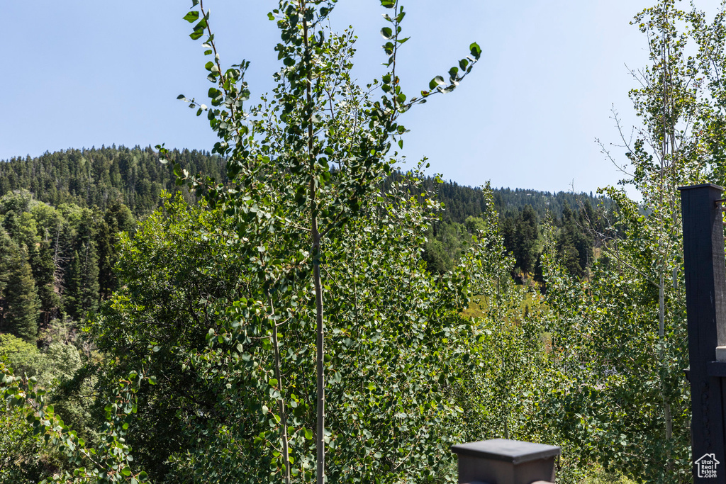 Photo 47 for MLS #2105893 at 158 Ridge Ave