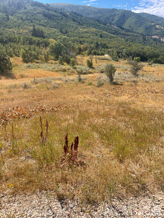 2141  BIG SKY DR Eden, UT 84310