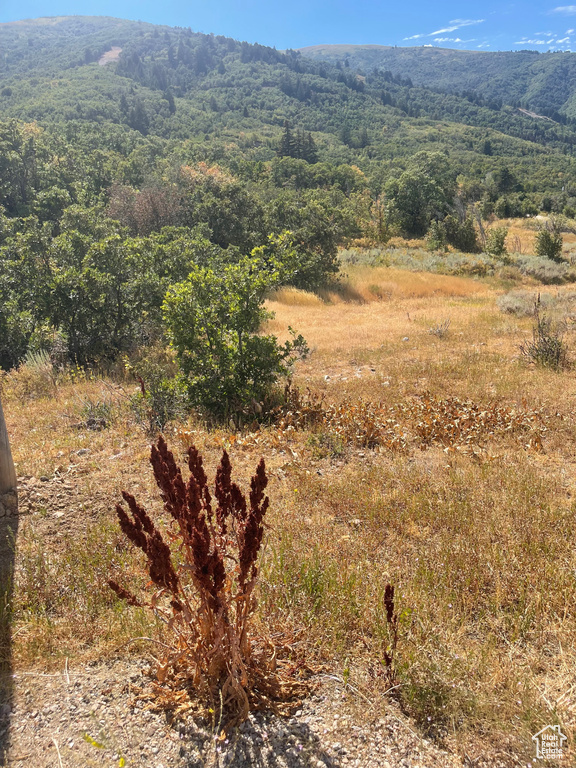 2141  BIG SKY DR Eden, UT 84310