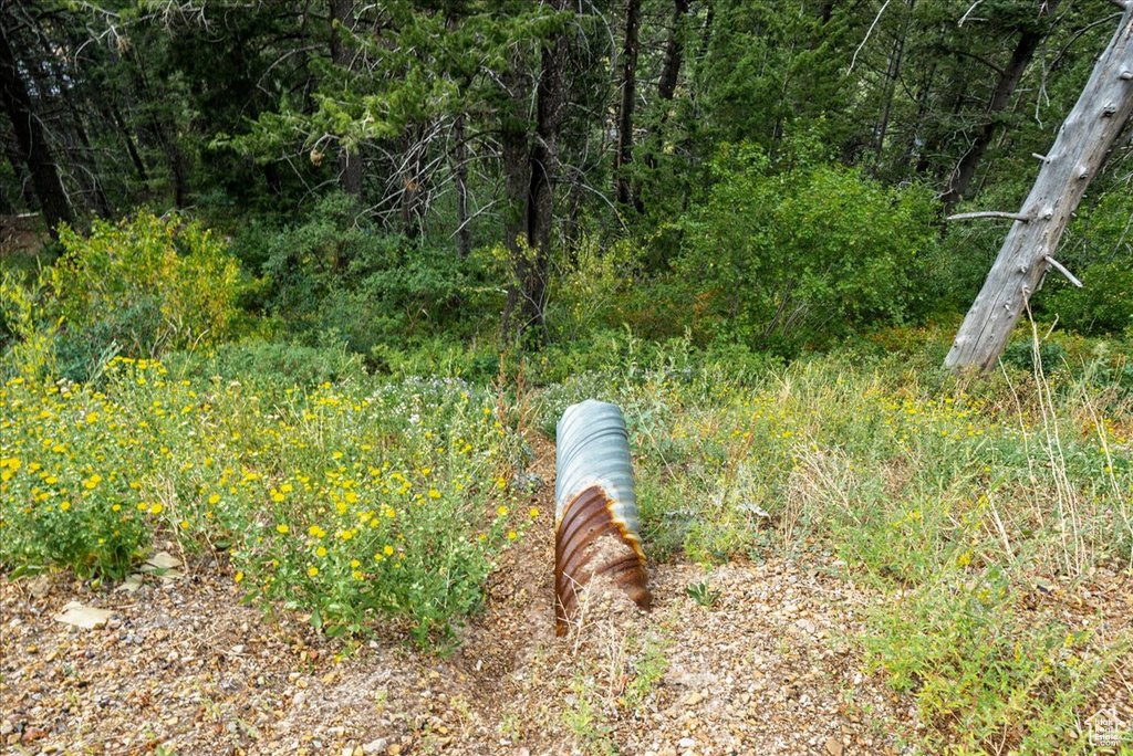 550  MATTERHORN DR Park City, UT 84098