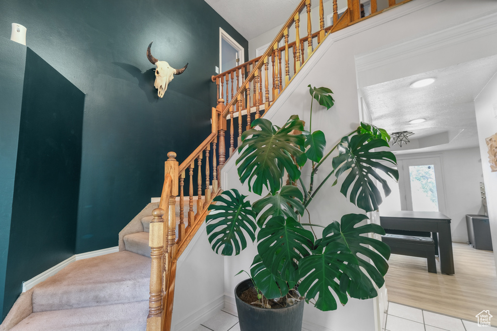 Photo 13 for MLS #2105953 at 2480 Oakridge Dr