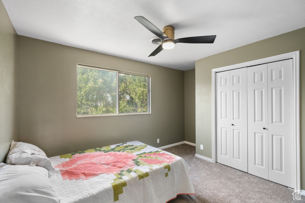 Photo 19 for MLS #2105953 at 2480 Oakridge Dr