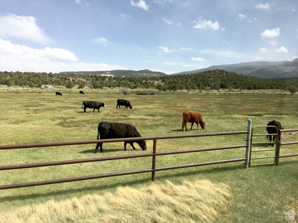 713 W EAGLE RNCH Teasdale, UT 84773