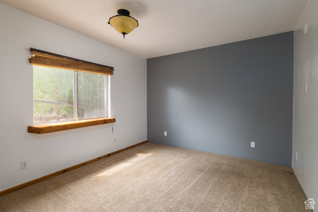 Photo 11 for MLS #2106045 at 709 W Bartlett Cir