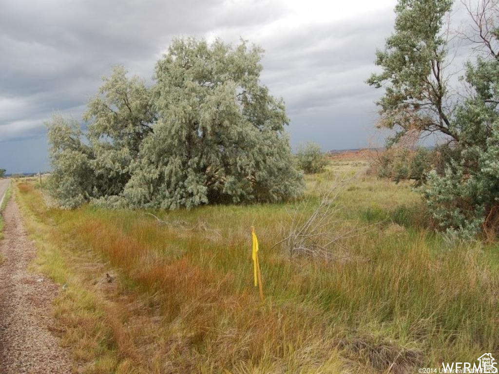 3828 W 2000 S Roosevelt, UT 84066