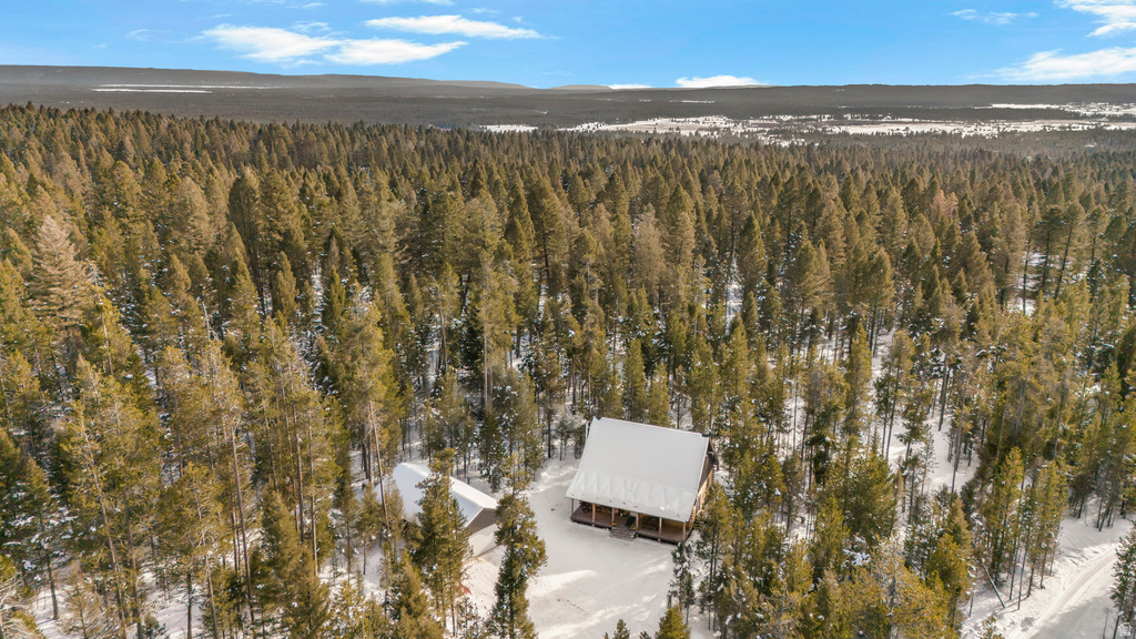 4178 FORESTVIEW DR Island Park, ID 83429