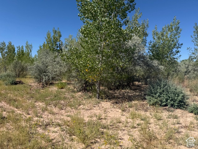 6333 N 1600 W Enoch, UT 84721