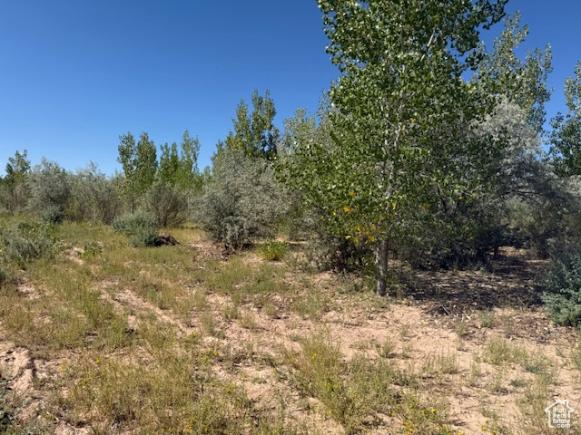 6333 N 1600 W Enoch, UT 84721