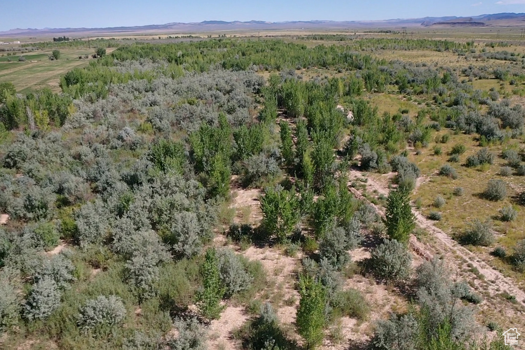 6333 N 1600 W Enoch, UT 84721