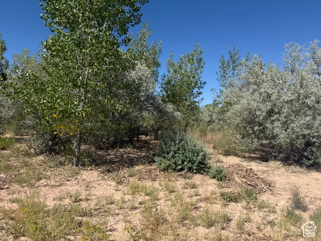 6333 N 1600 W Enoch, UT 84721