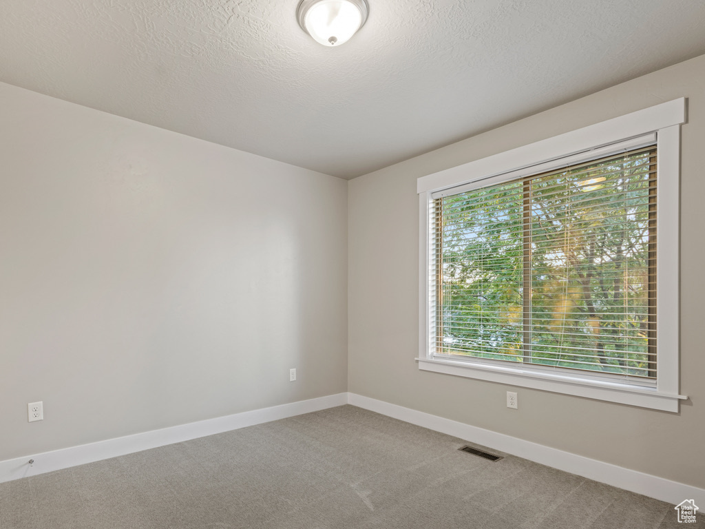 Photo 22 for MLS #2106206 at 4491 Haven Creek Rd #A
