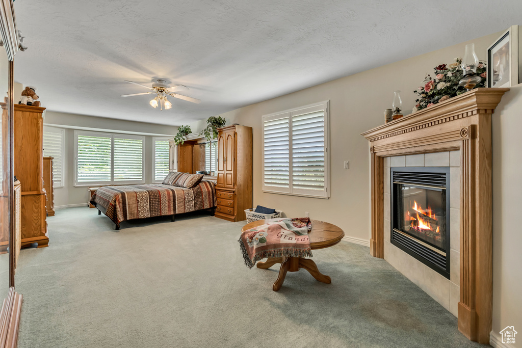 Photo 19 for MLS #2106221 at 10027 S Eden Ridge Dr