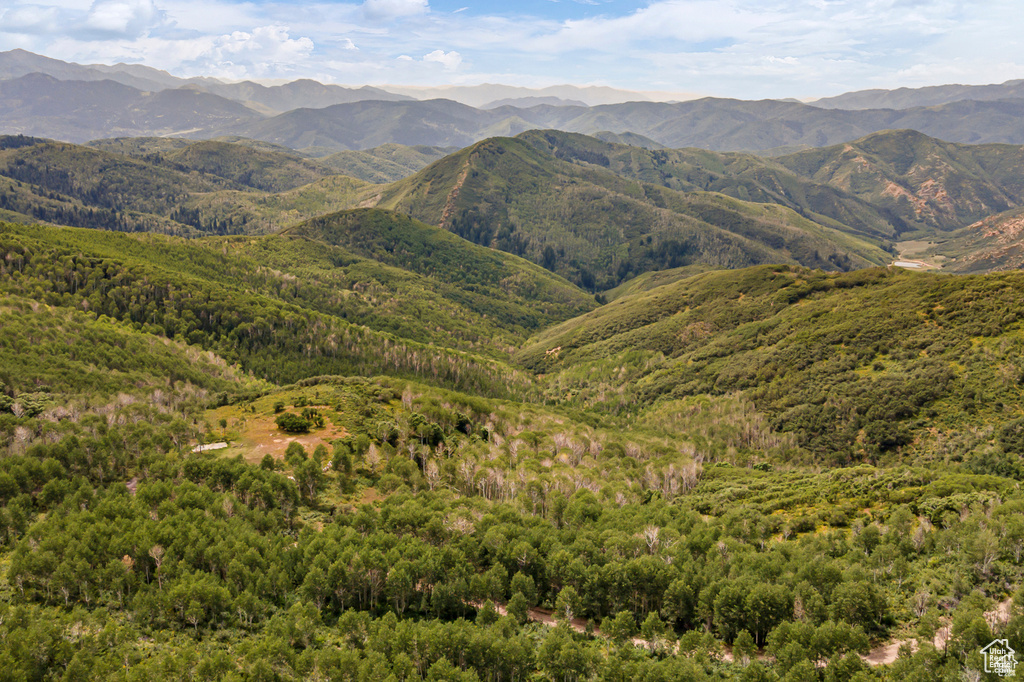 2029 W TOLLGATE RD Coalville, UT 84017