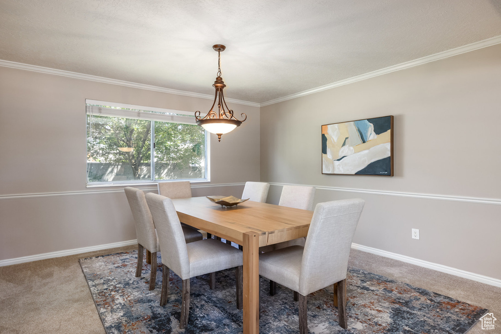 8535 SENDA CIR Sandy, UT 84093