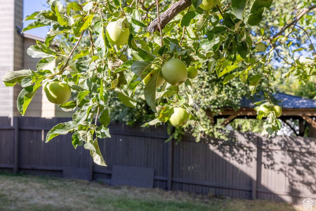 365 WILLOW DR Logan, UT 84321